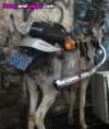 /album/srandovni-obrazky-na-internetu/funny-donkey-as-a-bike-jpg/